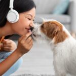 Pet-Friendly Apartments in Brisbane: Finding the Perfect Home for You and Your Furry Friend